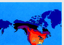 World Thunderstorm Days
